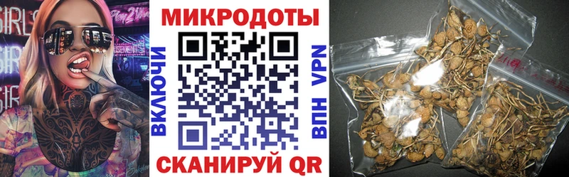 Галлюциногенные грибы Psilocybe  Купить  Апшеронск 
